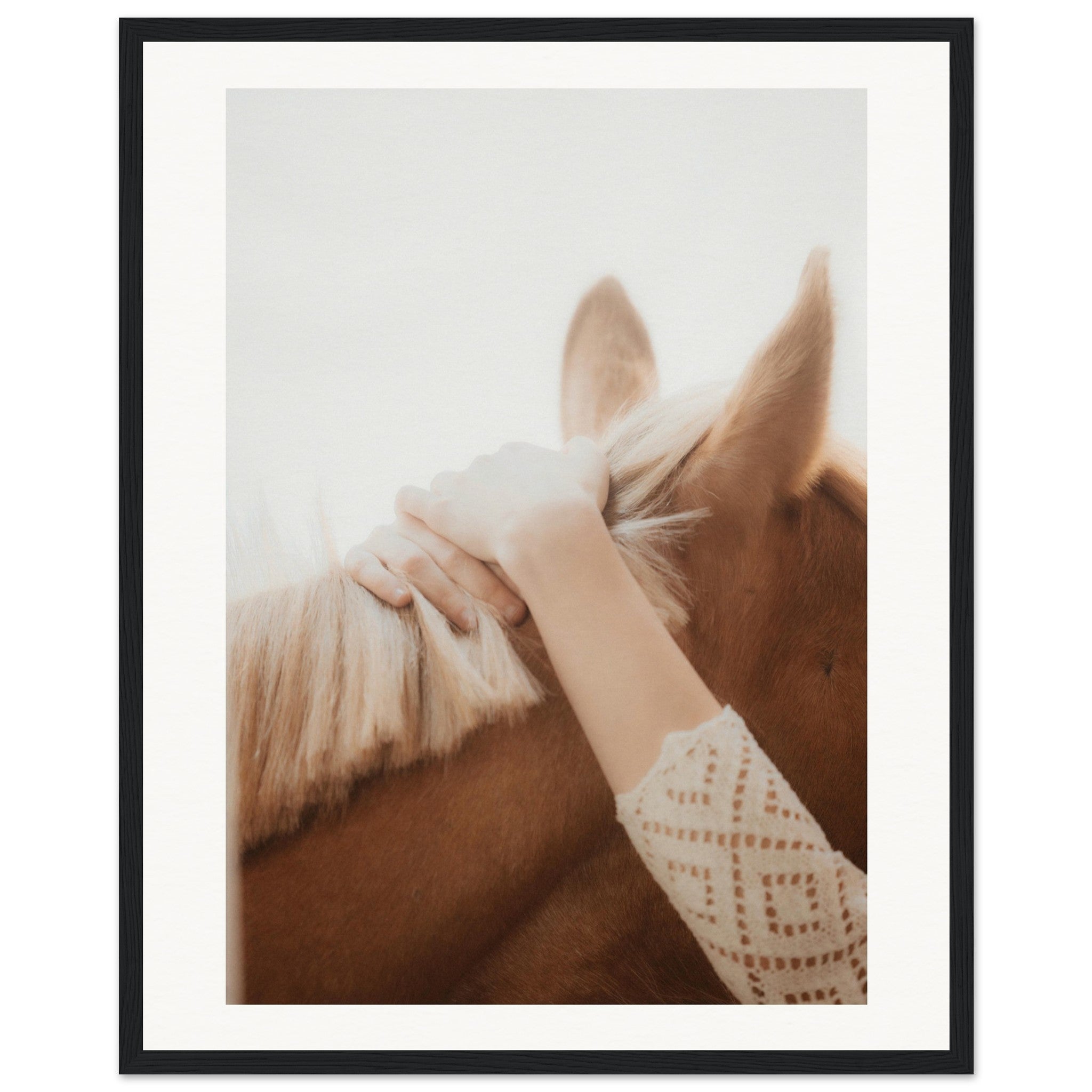 13151676-0ccb-43e1-bc51-4d41a8d03a49