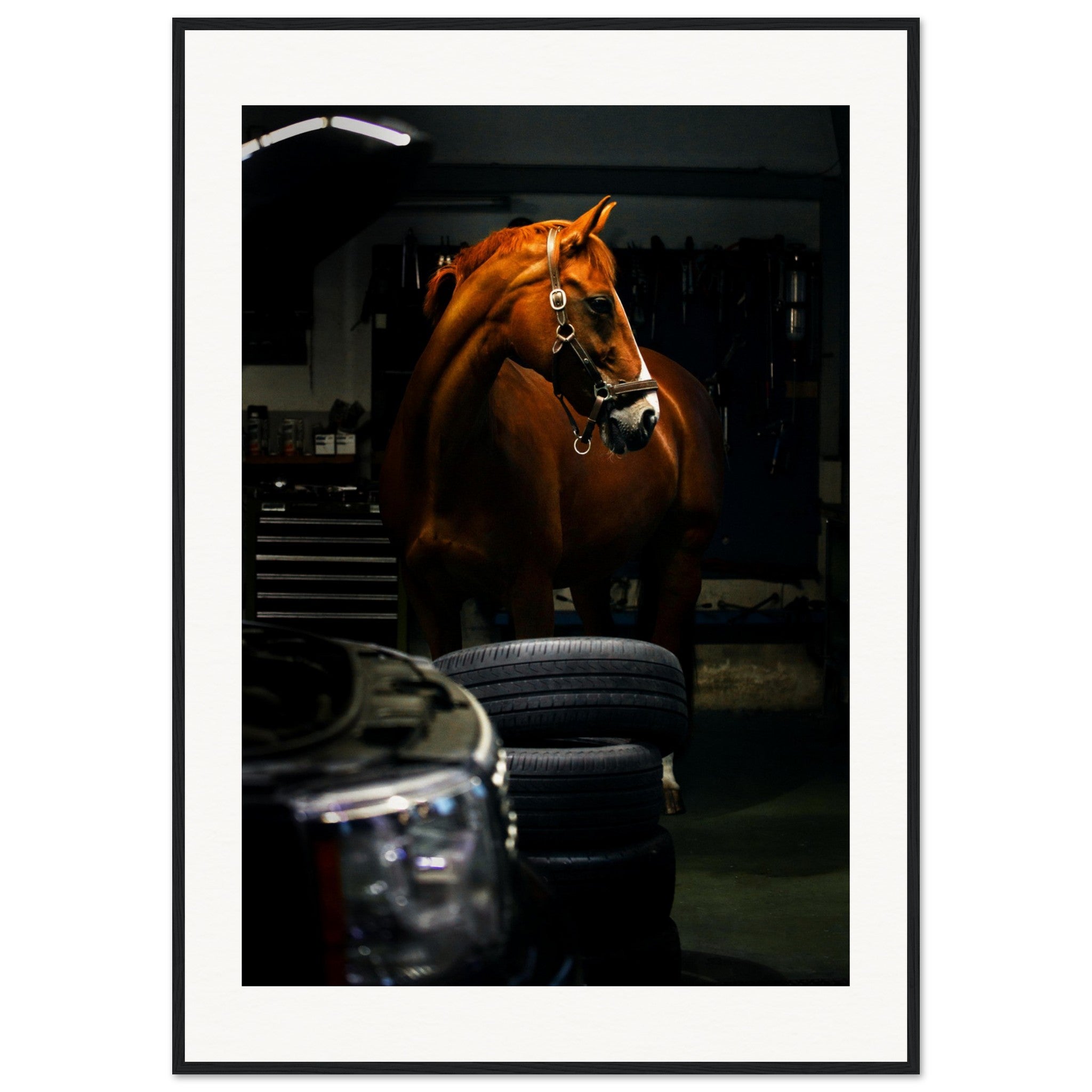 131f6135-4953-4a0a-b24b-978626bb6218