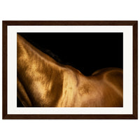 132b7fc5-3e16-4ae0-b541-d4ff4f8590ac