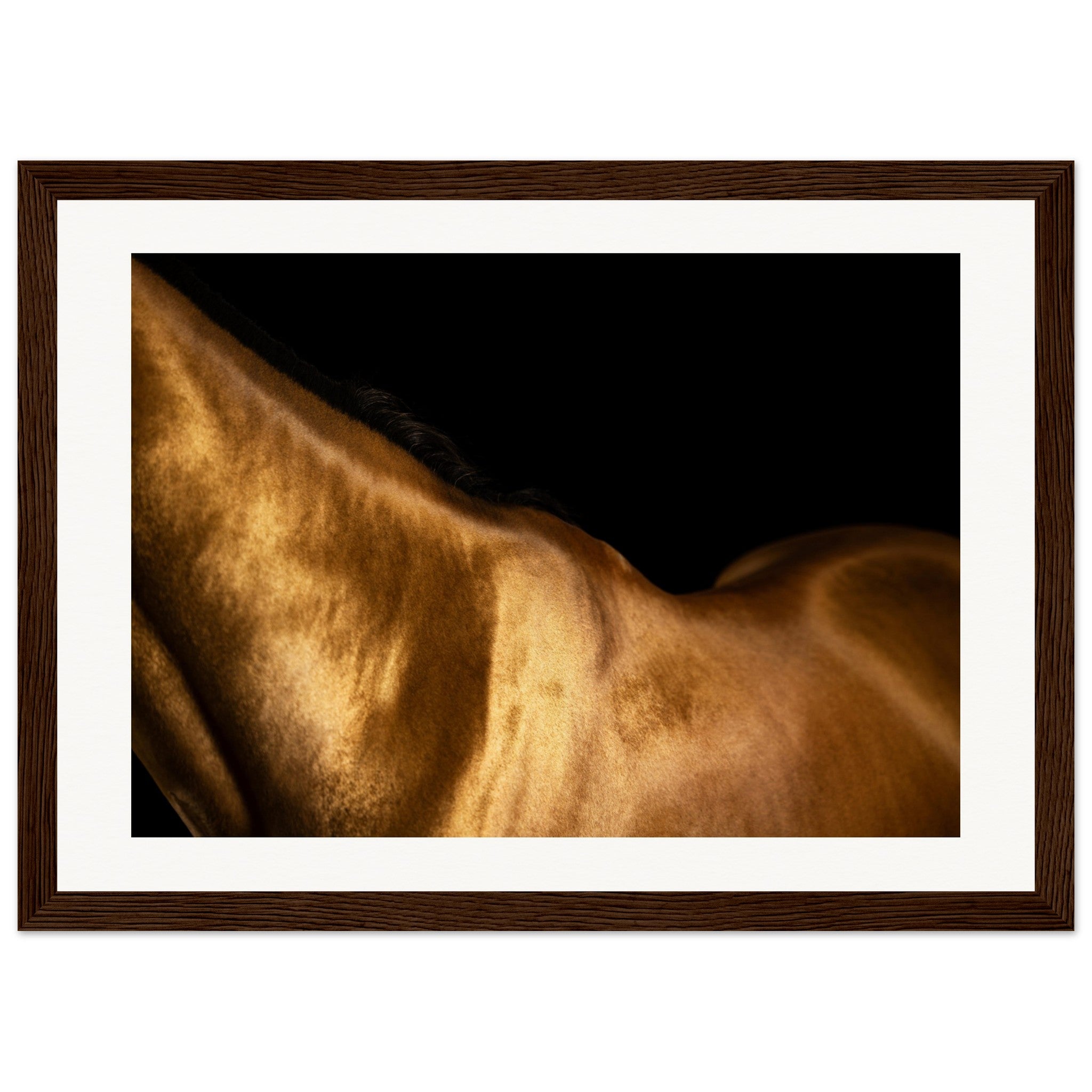 132b7fc5-3e16-4ae0-b541-d4ff4f8590ac