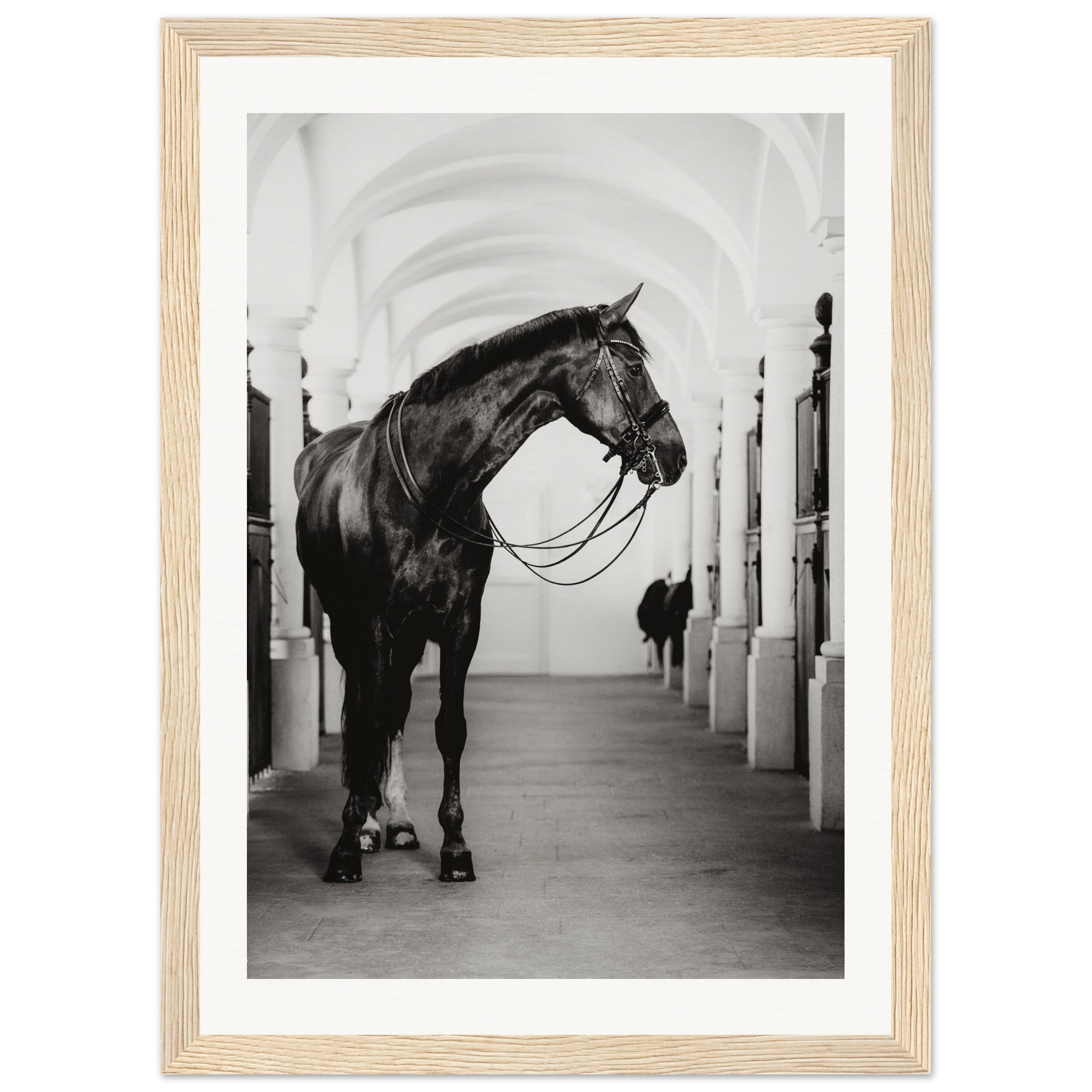 13536f74-c6f0-41d7-a1b6-4359c704a1e9