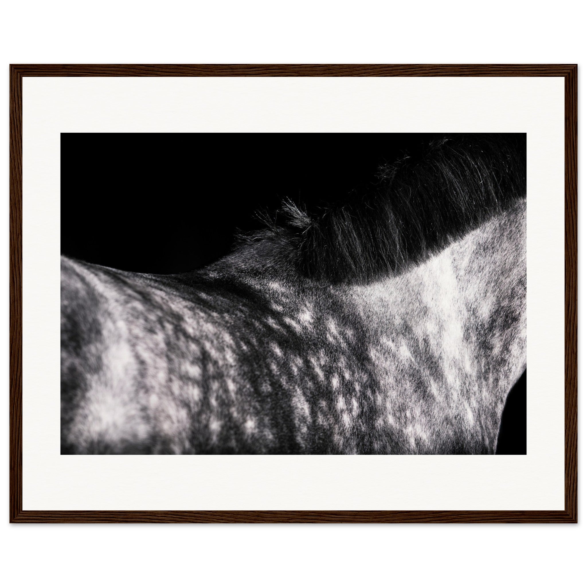 1357f664-a6b6-45dc-b118-d4f4a8c151a1