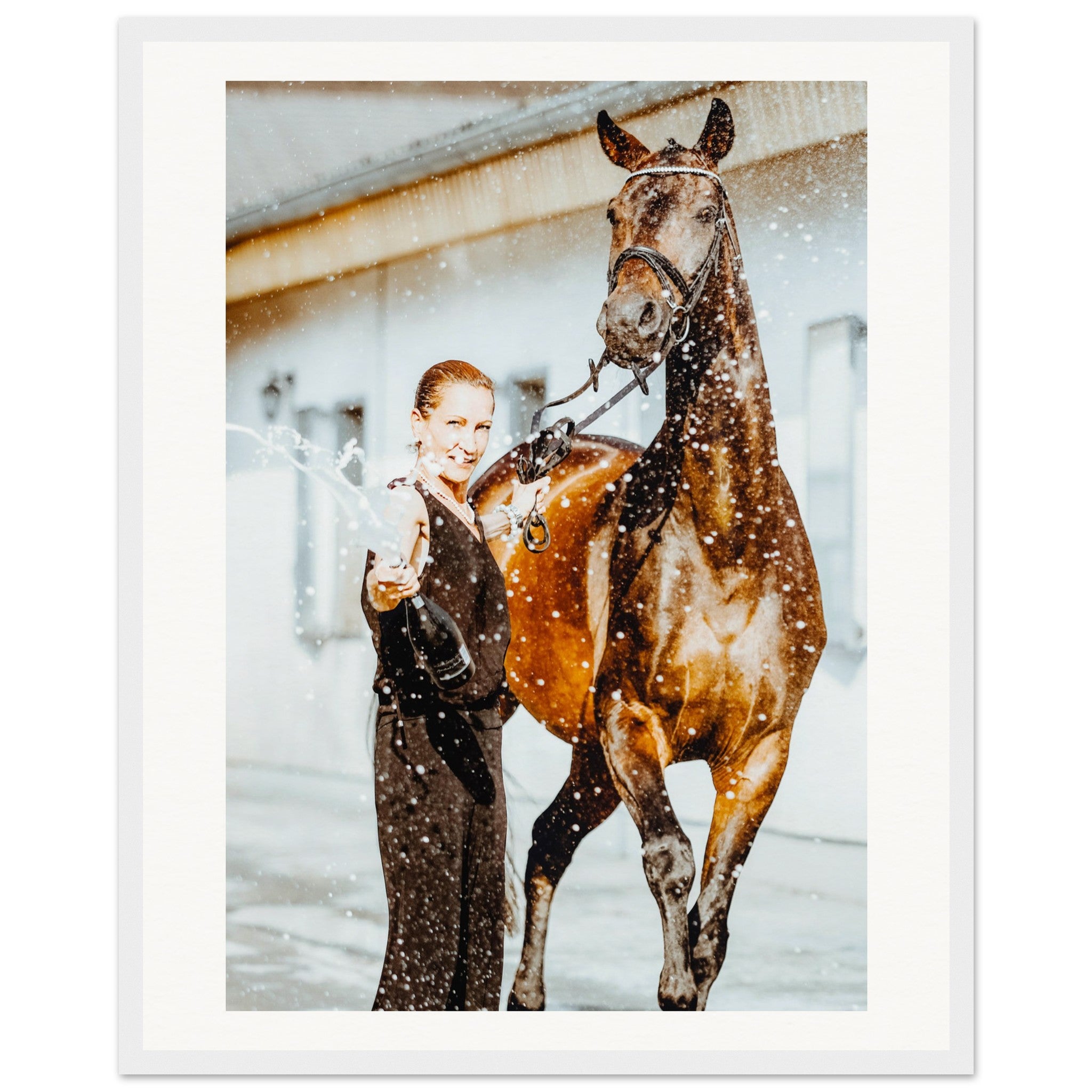 135d6311-f11c-4bb7-9f6b-1cf9154eddae