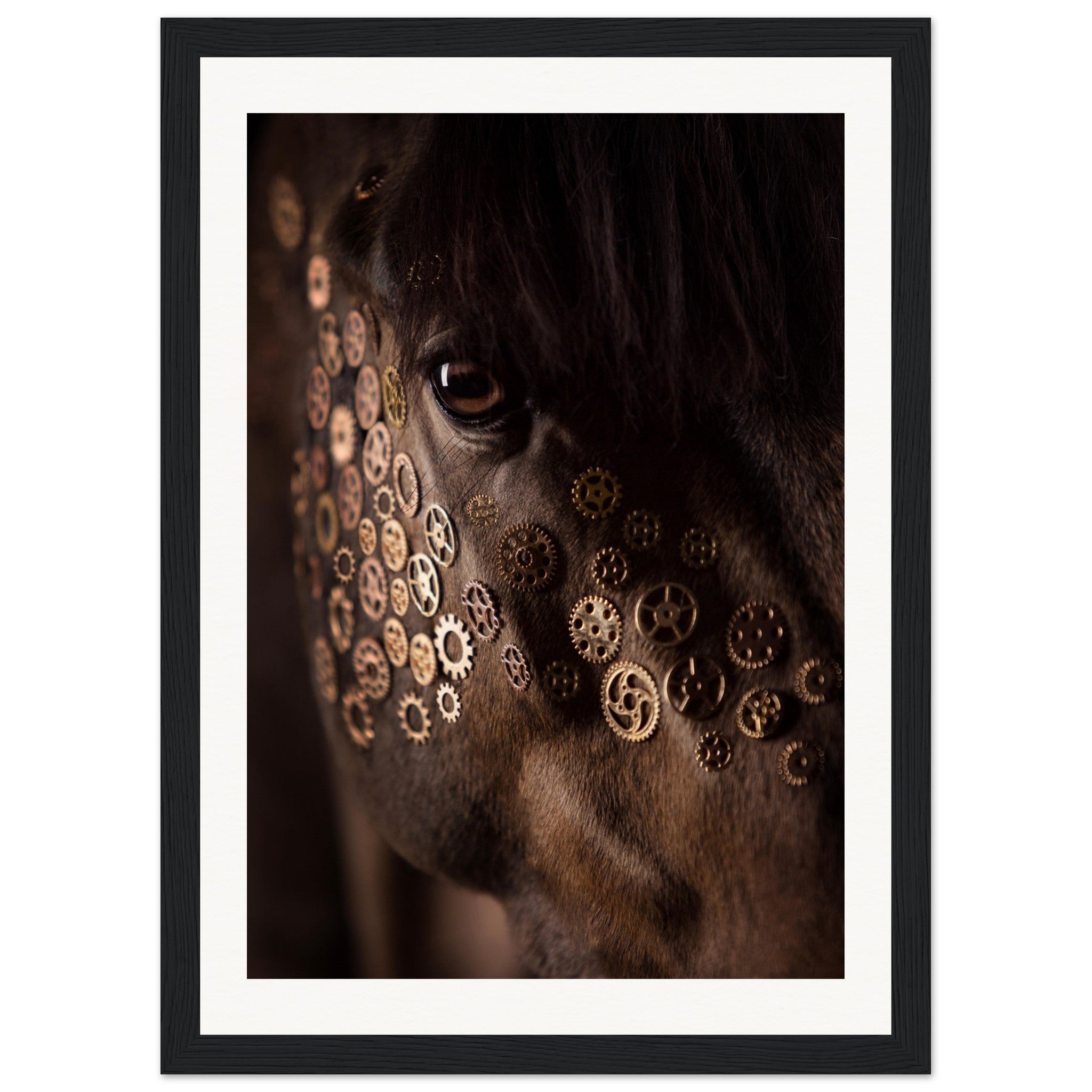 13a1b291-d3b6-4779-9266-e458ca9640fe