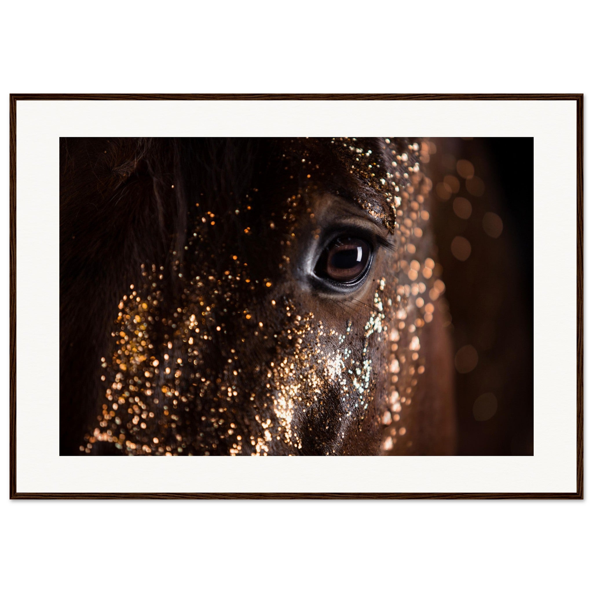 13c80002-6919-44b3-98fb-02999a013a79