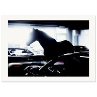 13f58a77-7216-4e98-b9aa-bc9018df4632