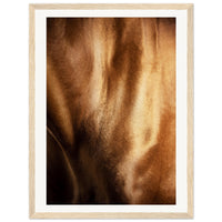 141510b7-d52c-4f76-bda4-0d04a5d2f418