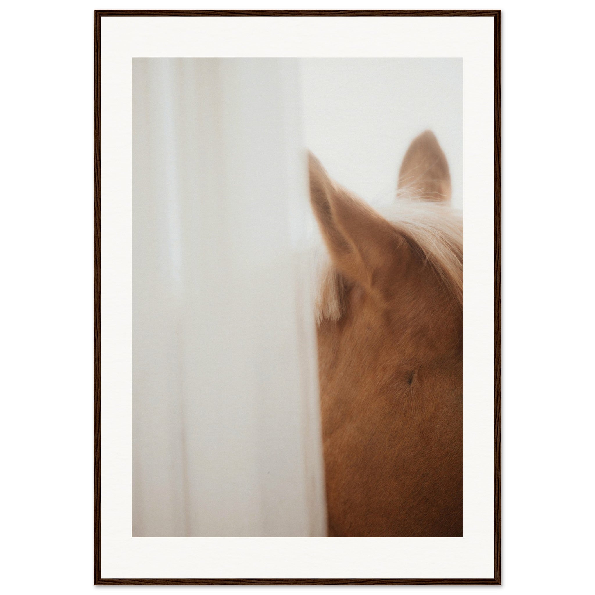 14248b47-c0d5-4d50-9e44-a6d866ffc40e