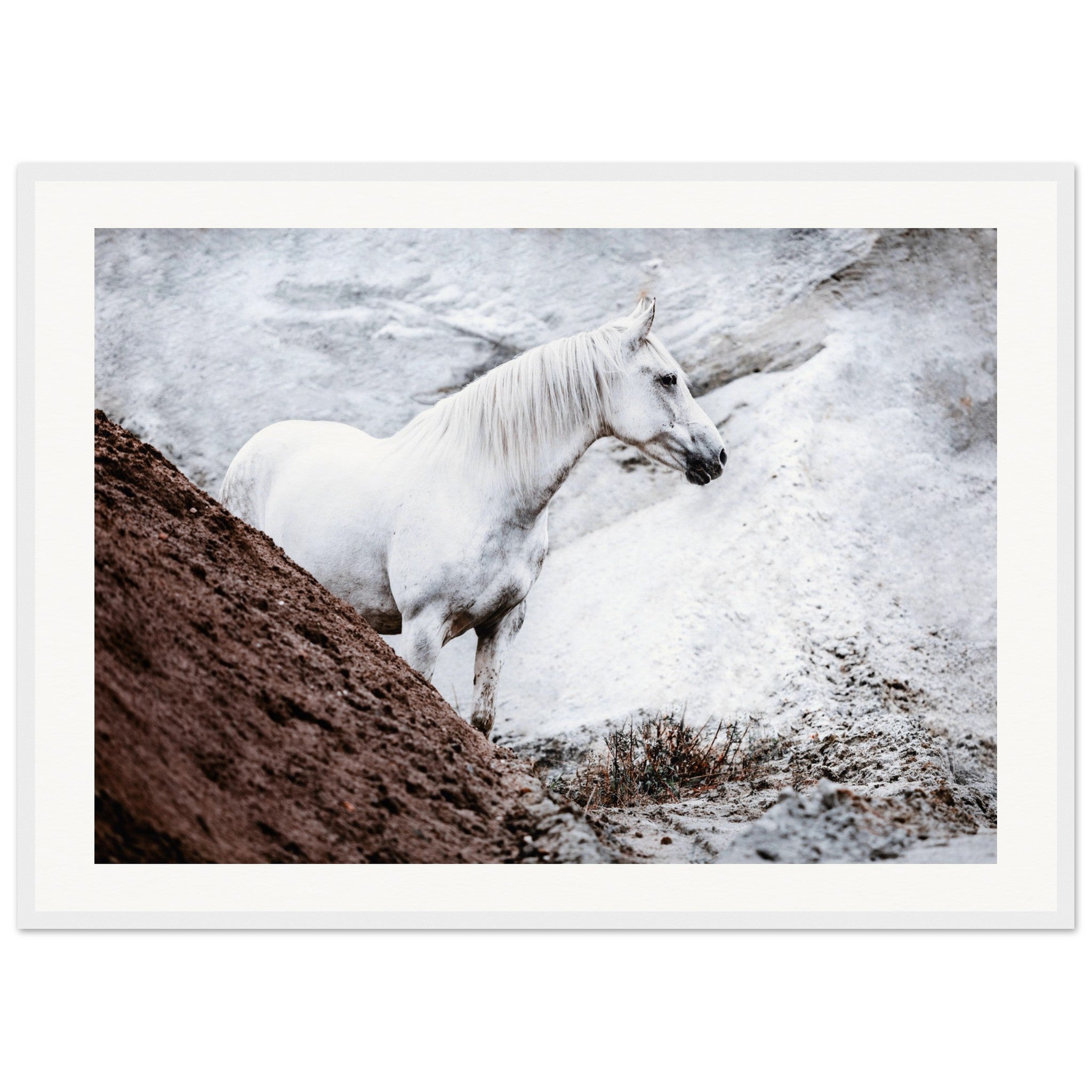 14b5c492-abc6-4248-a7a2-fc2e71ffd6c7