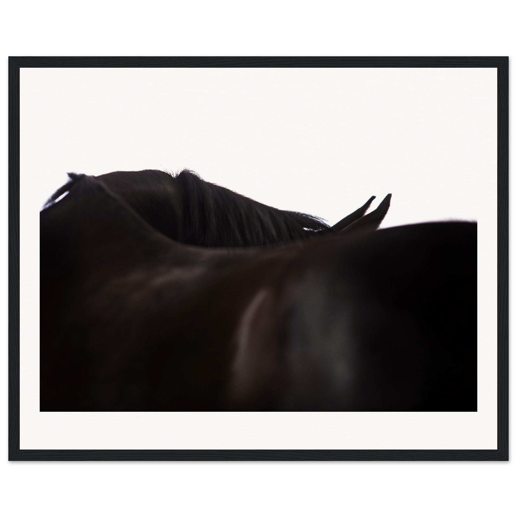 14d1f768-46e4-4d79-9cad-e2b18385a8a5