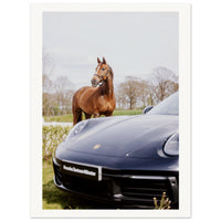 14f5d7b4-d080-4a69-93c5-746169e511b4