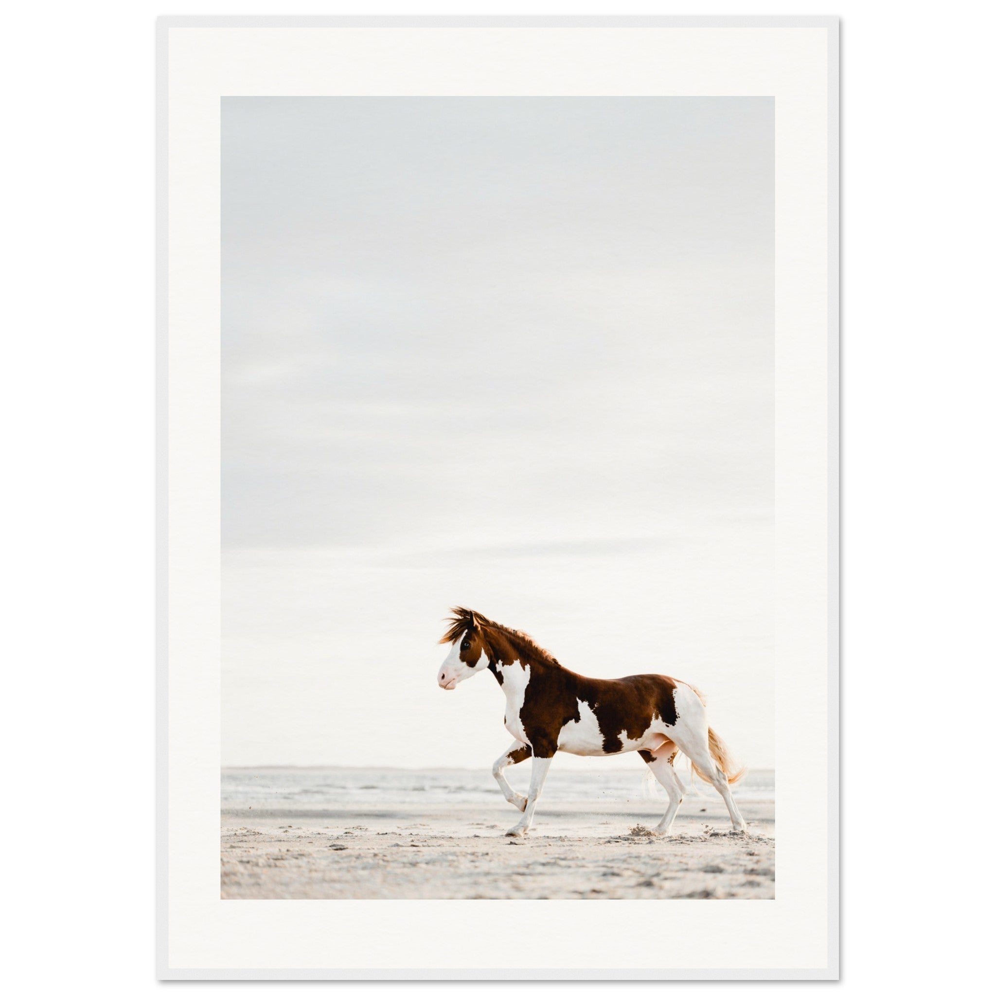 153c1f69-1d7e-4eaf-85fe-a912c2257f36