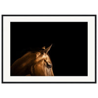 1564fddb-673e-4163-a6ee-ad244beab807