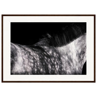 15bc972c-4dc1-4354-b59e-af3b8a4db24f