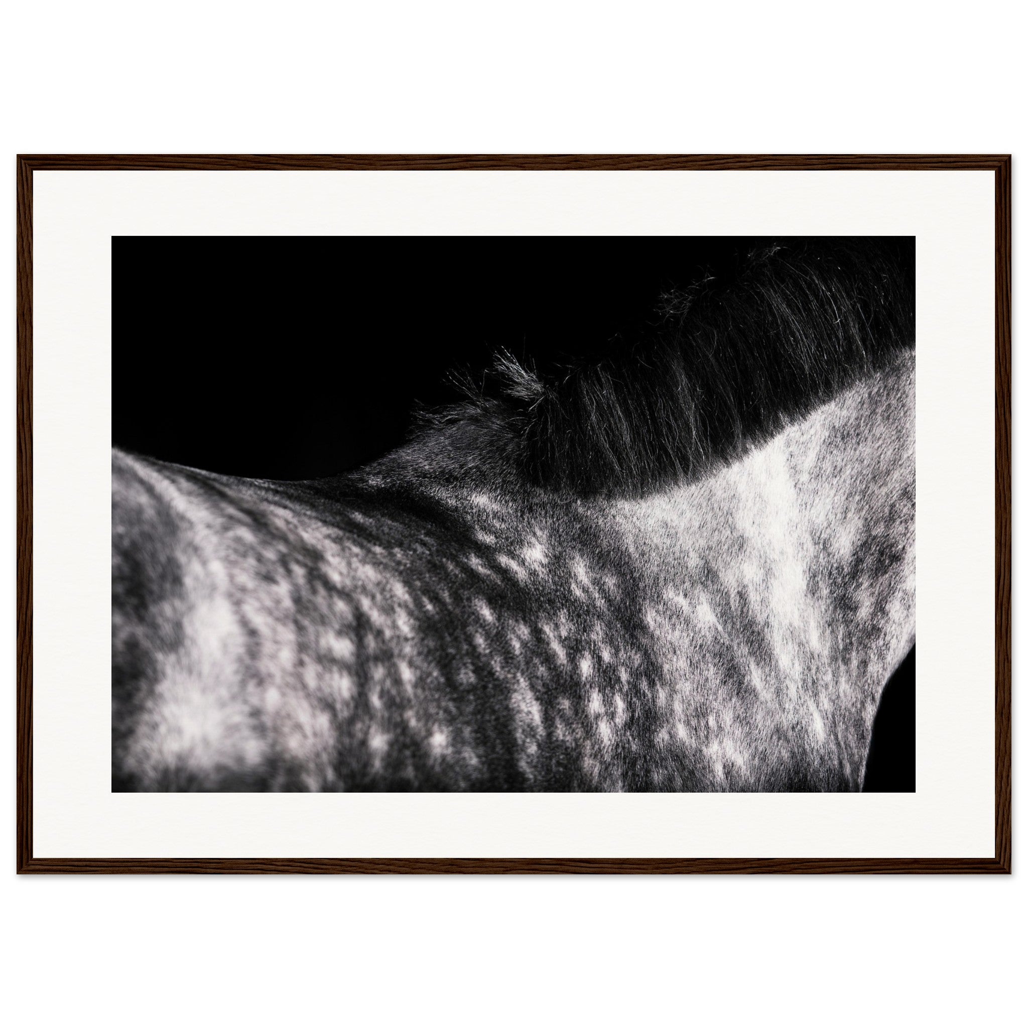 15bc972c-4dc1-4354-b59e-af3b8a4db24f