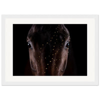 15e449f8-e4f6-4aa1-bb36-145177f3bee2