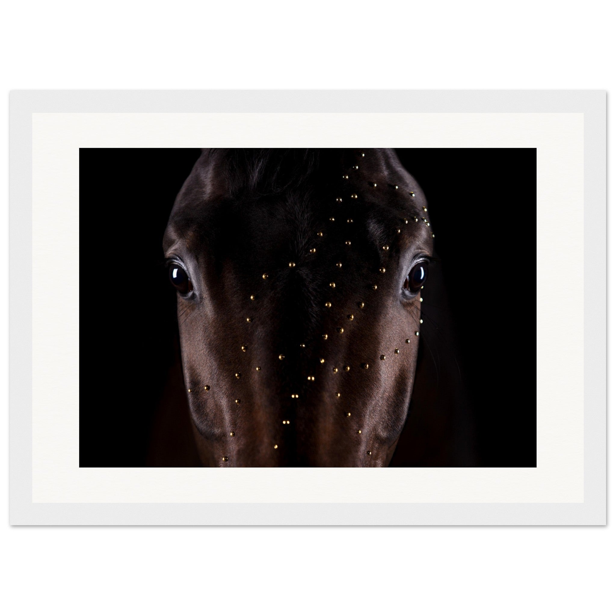 15e449f8-e4f6-4aa1-bb36-145177f3bee2