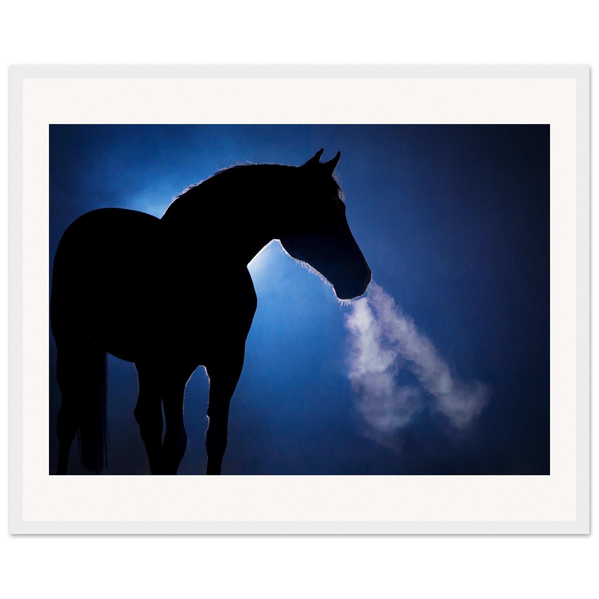 15f62cbb-0d25-4732-9b5d-20841eddadc9