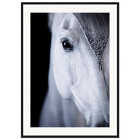 15fc8b9e-5c26-44e0-9e25-449a48c6ea83