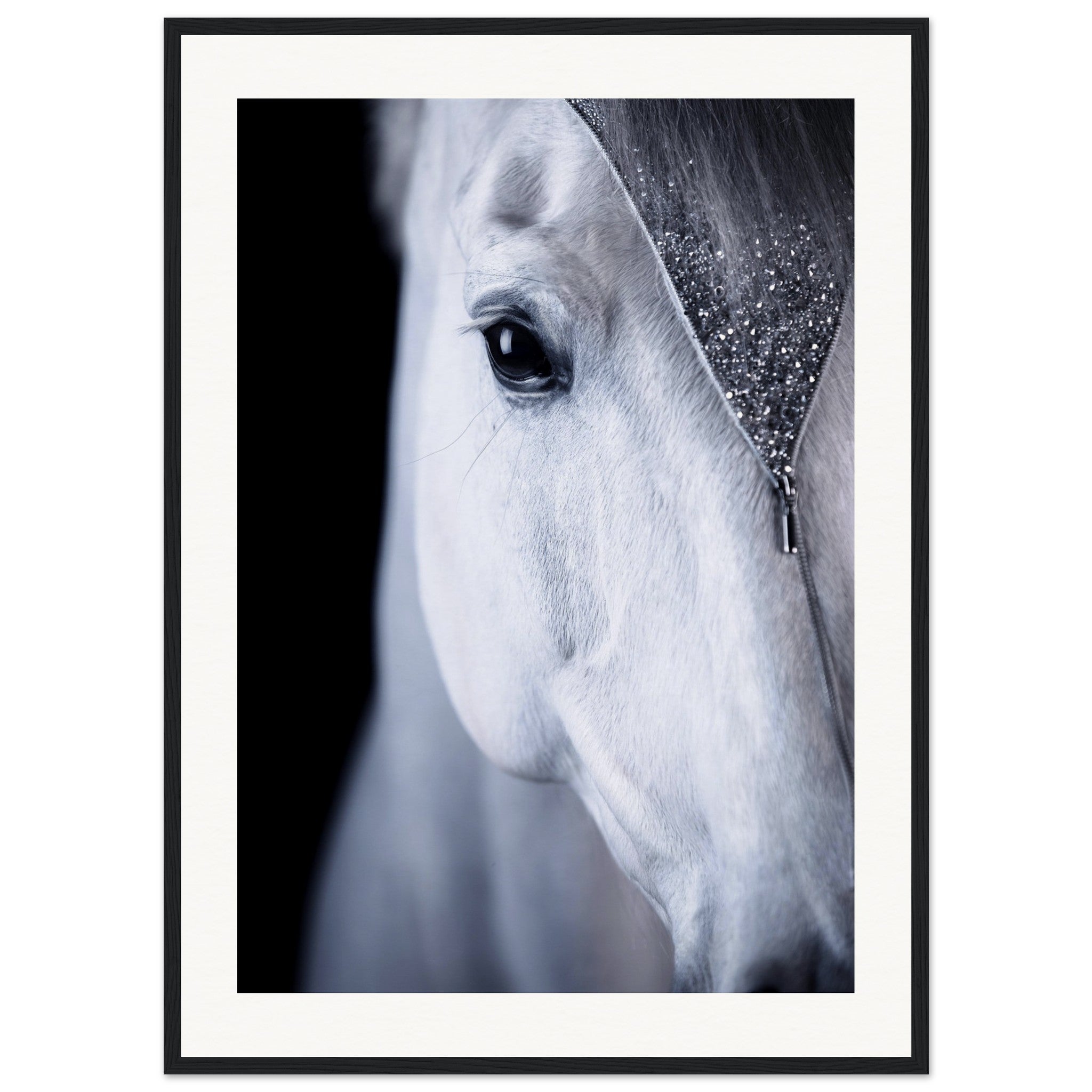 15fc8b9e-5c26-44e0-9e25-449a48c6ea83