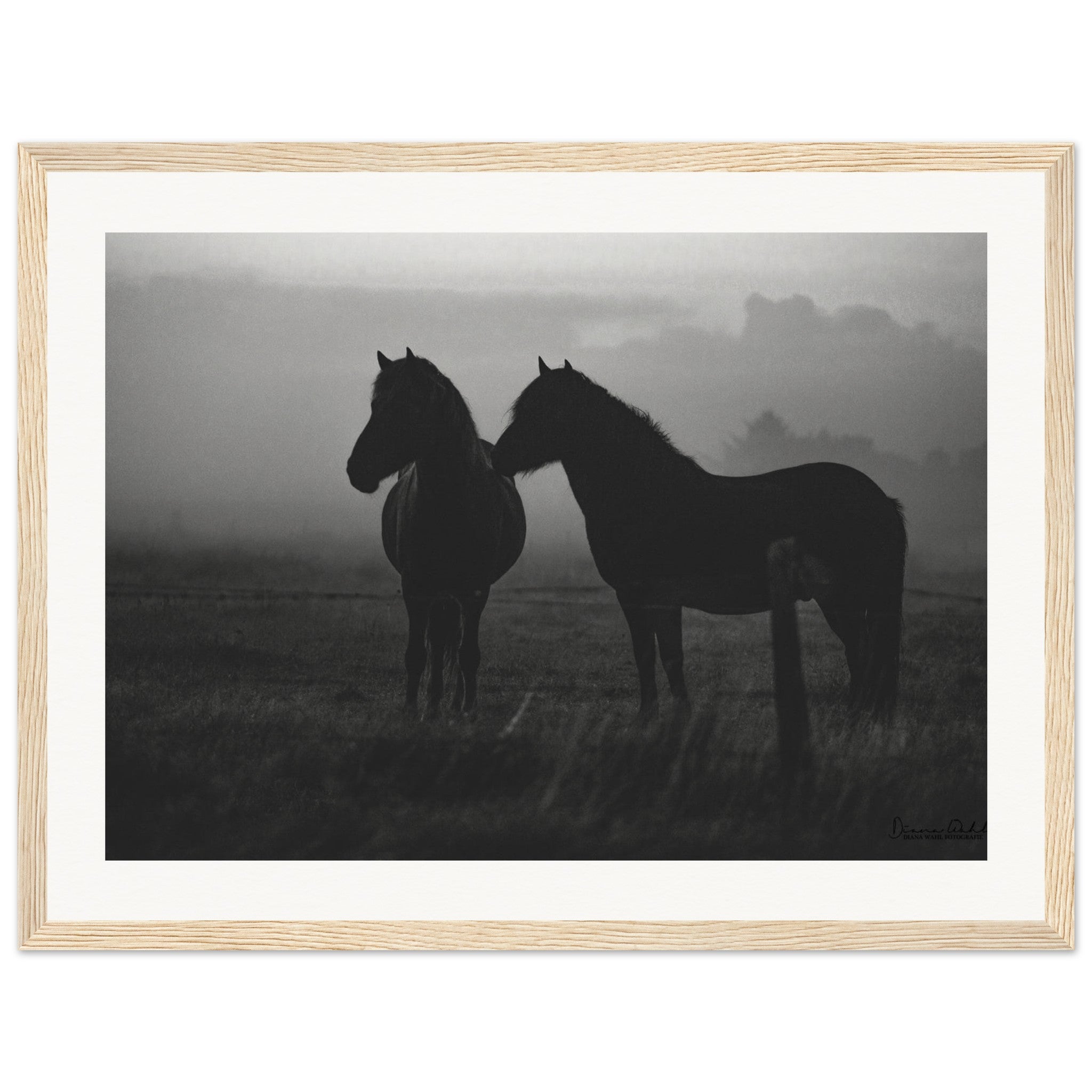 160905a5-e957-4f9b-b77f-3cfe49ffb2ee