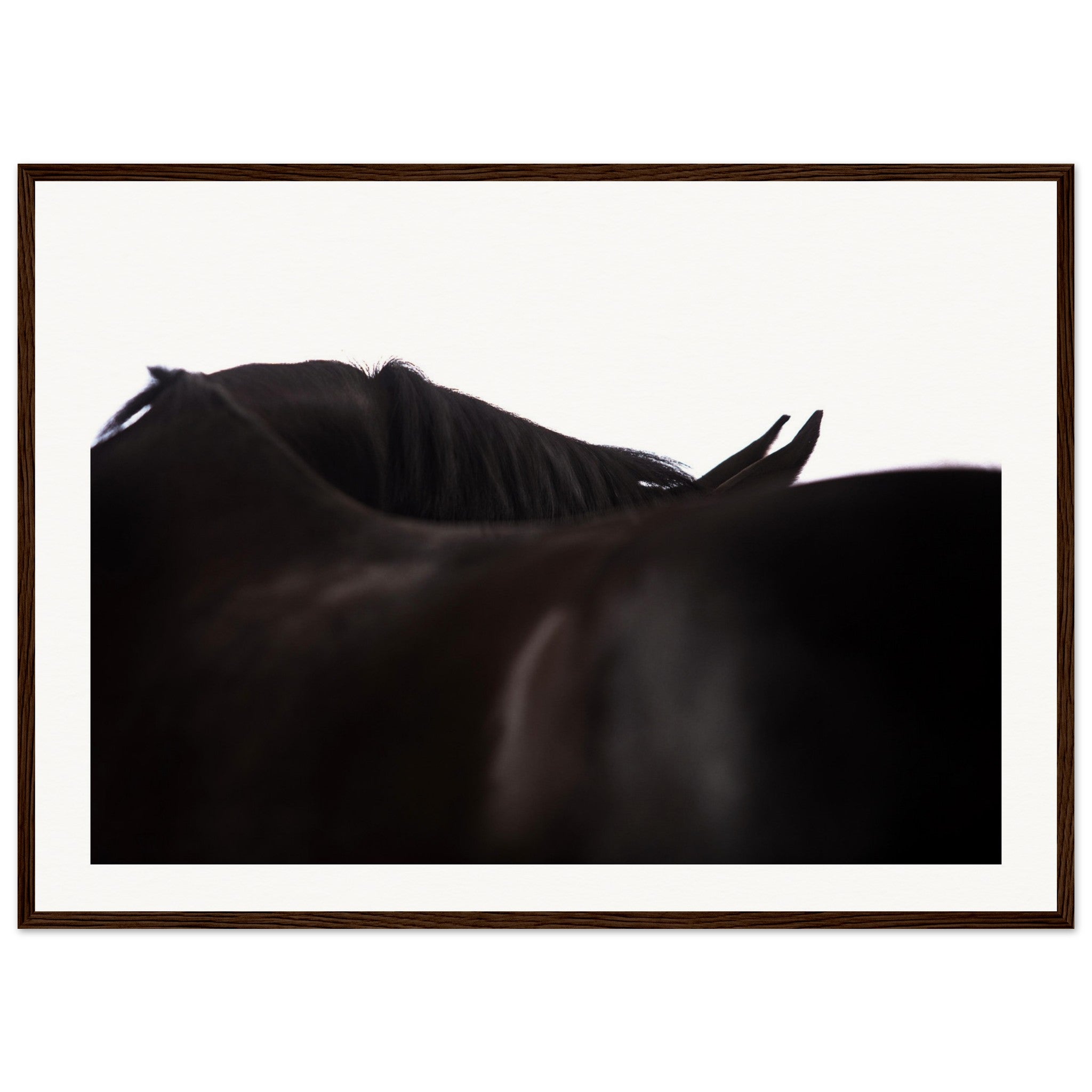 1685ac37-1ca2-41fe-8582-8685d5a2942c