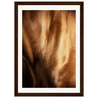 16970e25-af37-4ba6-8f51-a333435ed7c5