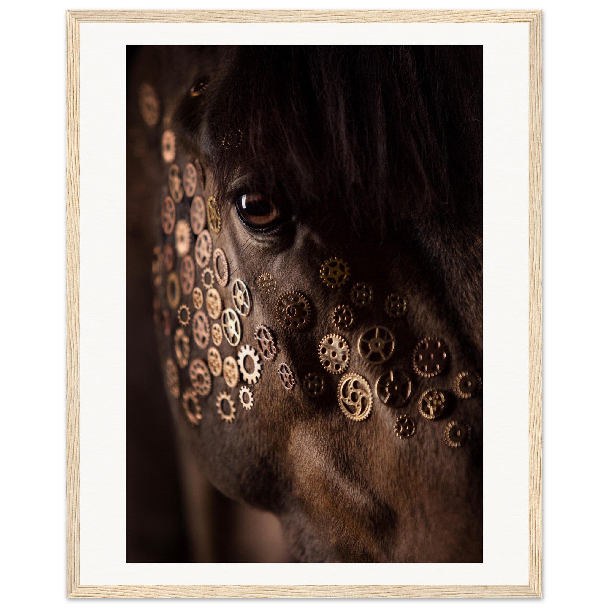 16c7d884-8ca8-4757-9298-ef65f1f2c7a4