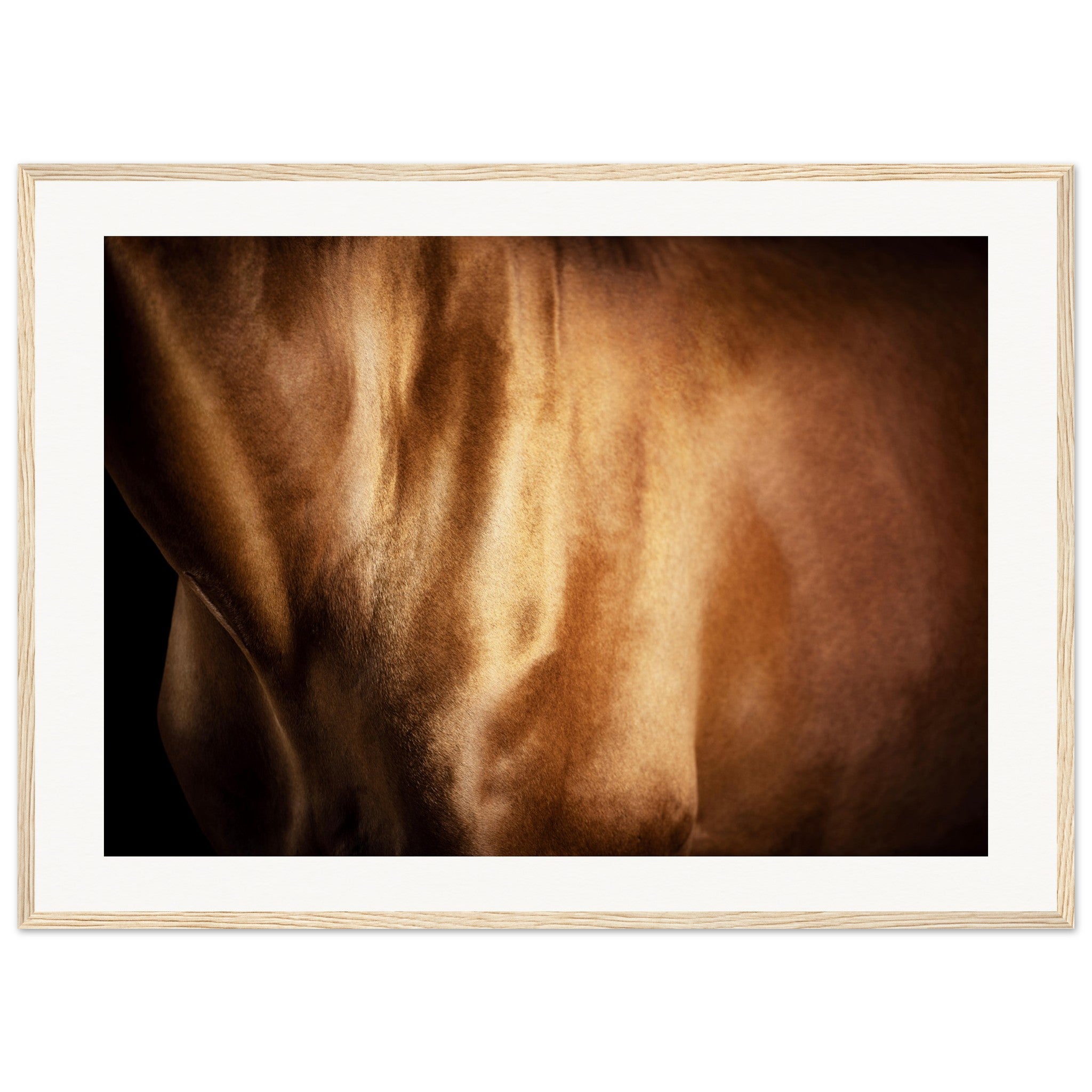 178aa163-0e62-49bd-bcd9-7fd98125aa73