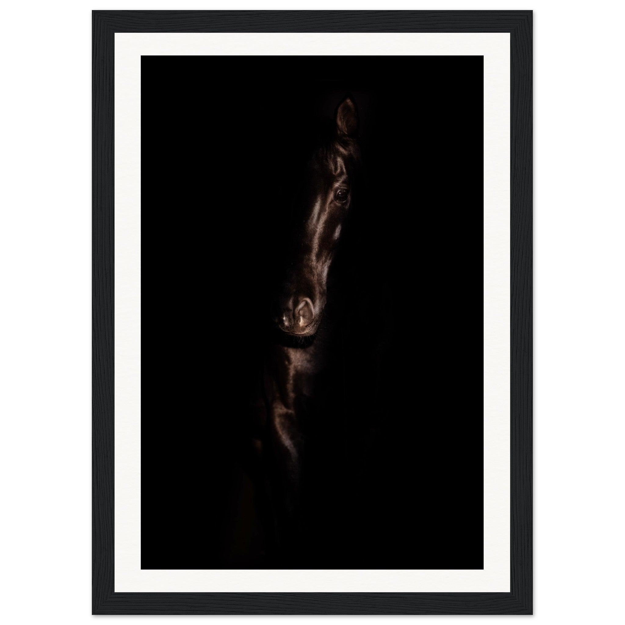 17d70a5d-8af0-404f-9f4c-a70e8ce1b263