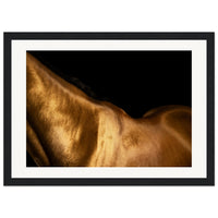 183af391-446e-48de-95e6-b3465c8e0d47