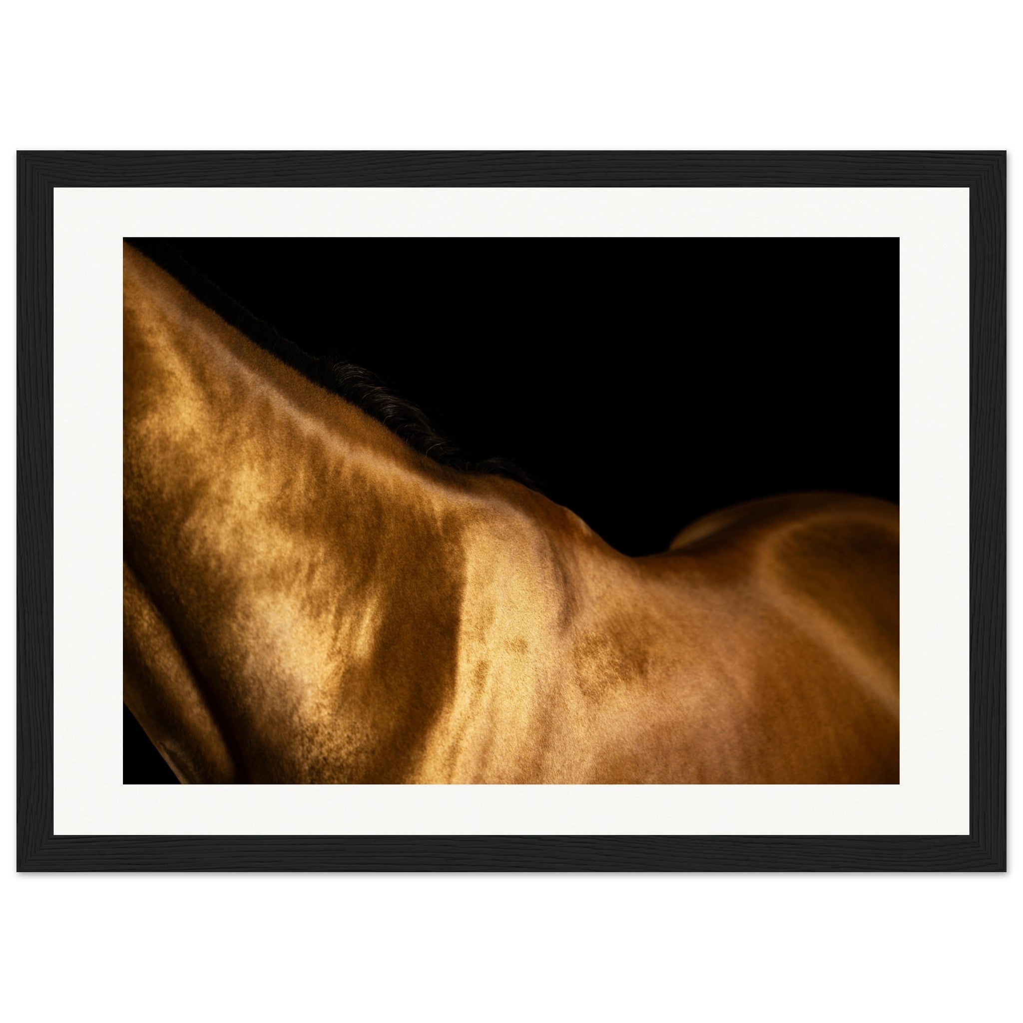 183af391-446e-48de-95e6-b3465c8e0d47