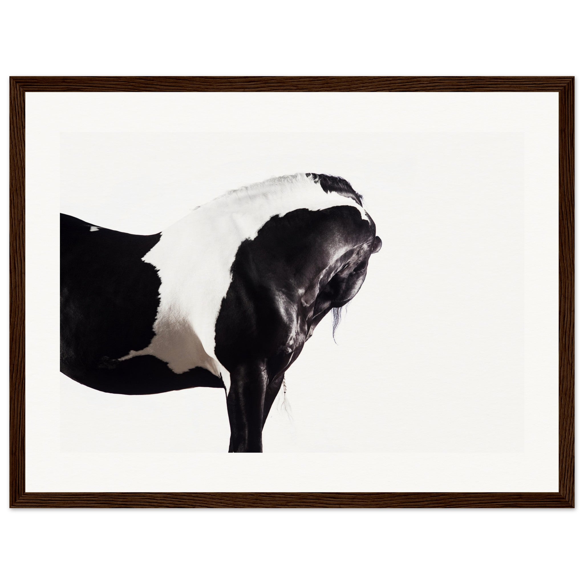 18651f42-2e0e-4b16-9a22-11de867ec791