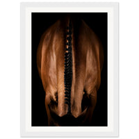 18720b69-ed30-4c1c-bdad-dbae8b00ac9f