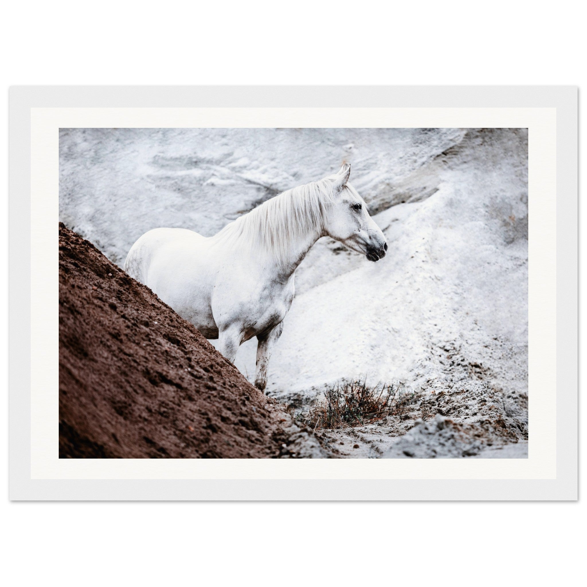 1884bb57-4a7a-4536-b782-593bd0c0d09a