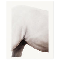 1889b4af-510f-48ca-b17f-7d05eeafe635