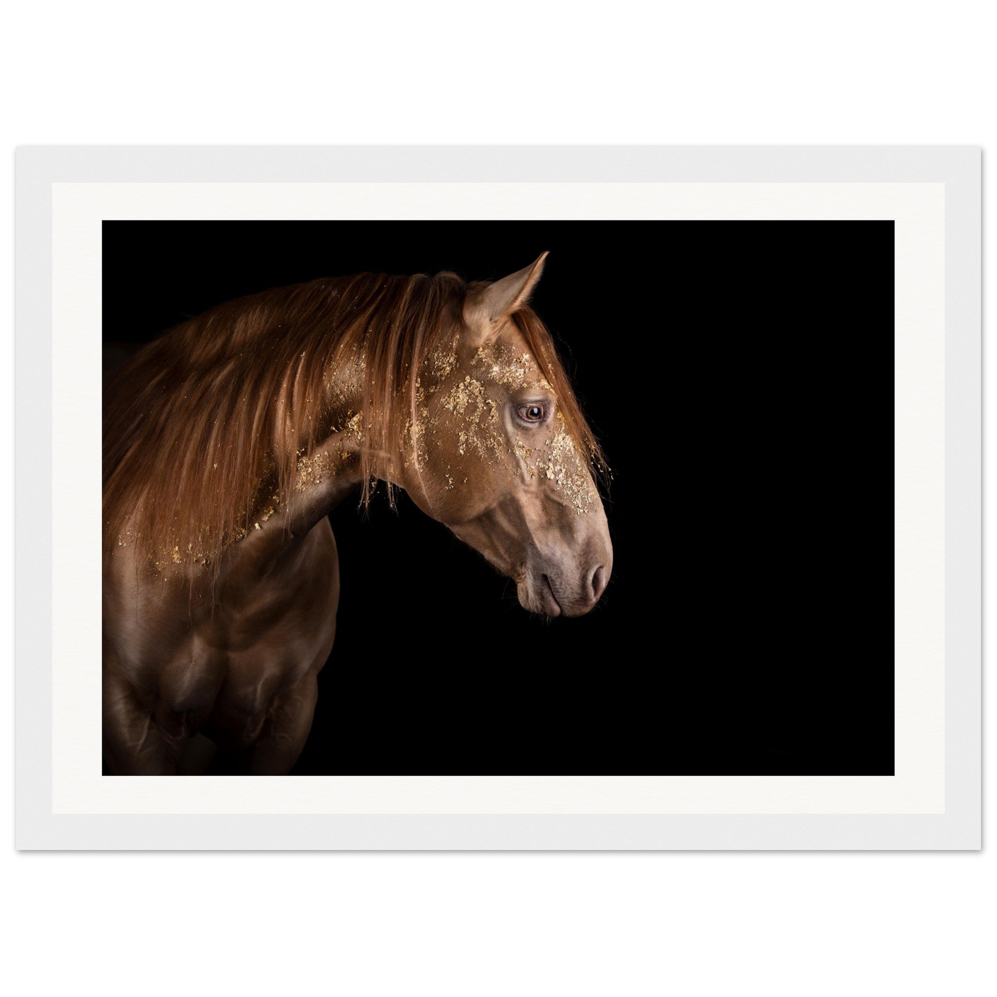 18a763a3-4390-4f50-b4df-e4d6d38dbc2b