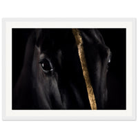 18b711d0-f0a5-4476-96bc-e88754e60959