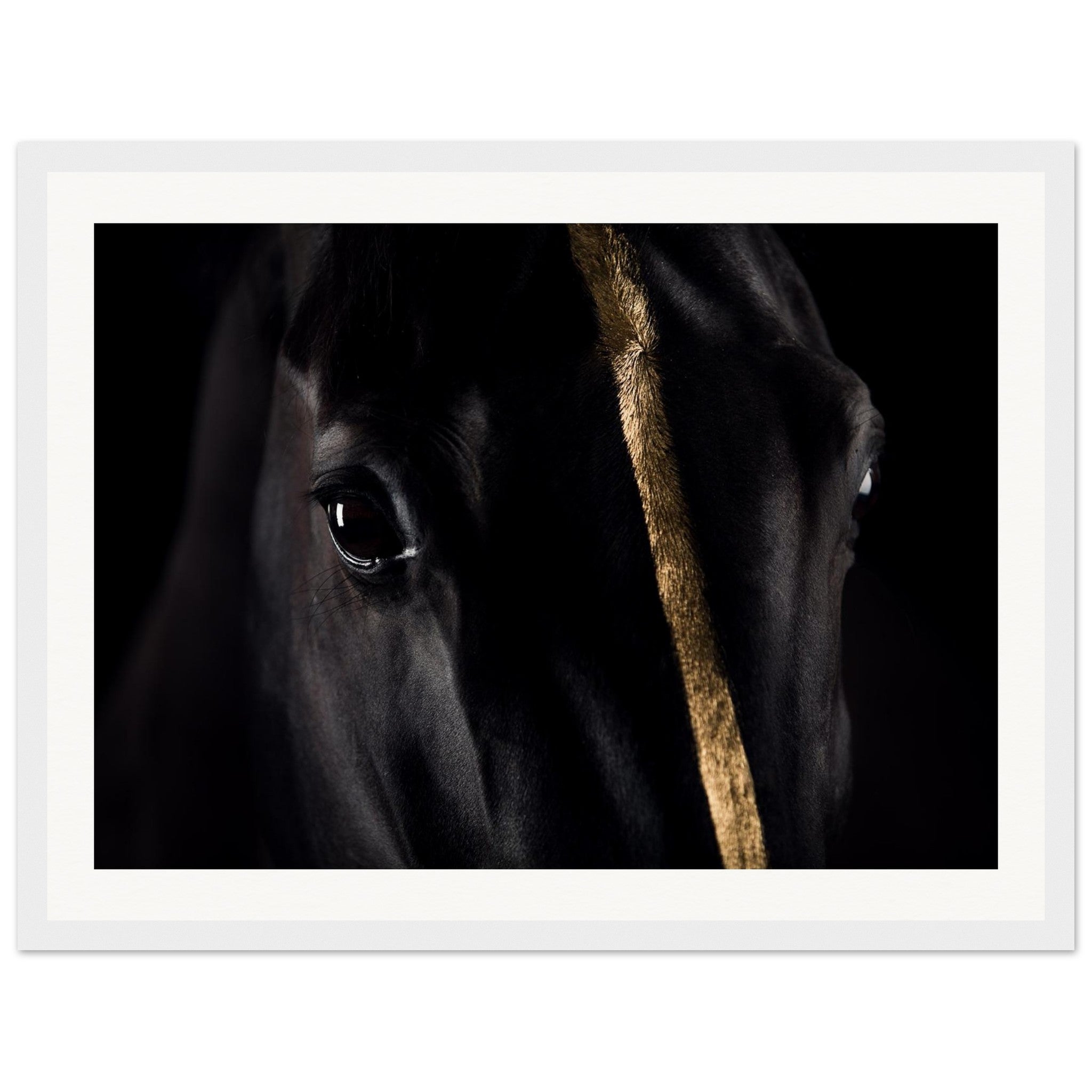 18b711d0-f0a5-4476-96bc-e88754e60959