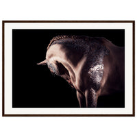 18d26e6d-9486-428c-99c5-8e6d4e9f8189