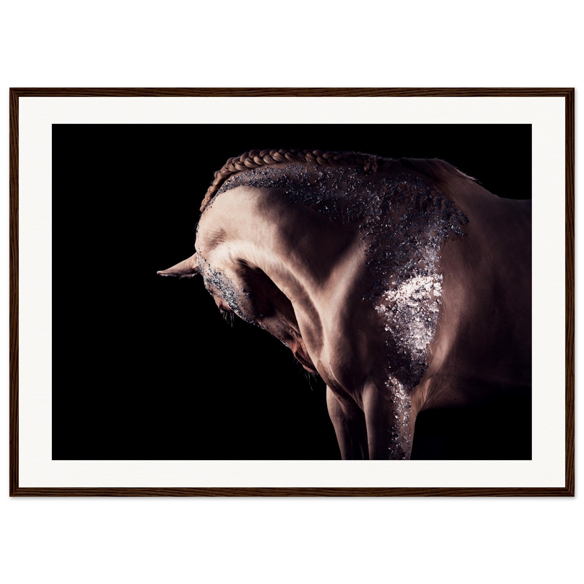 18d26e6d-9486-428c-99c5-8e6d4e9f8189