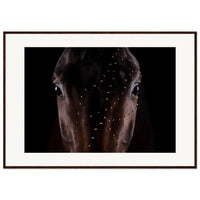 18de7b9e-3575-4048-9624-0049c42d148a