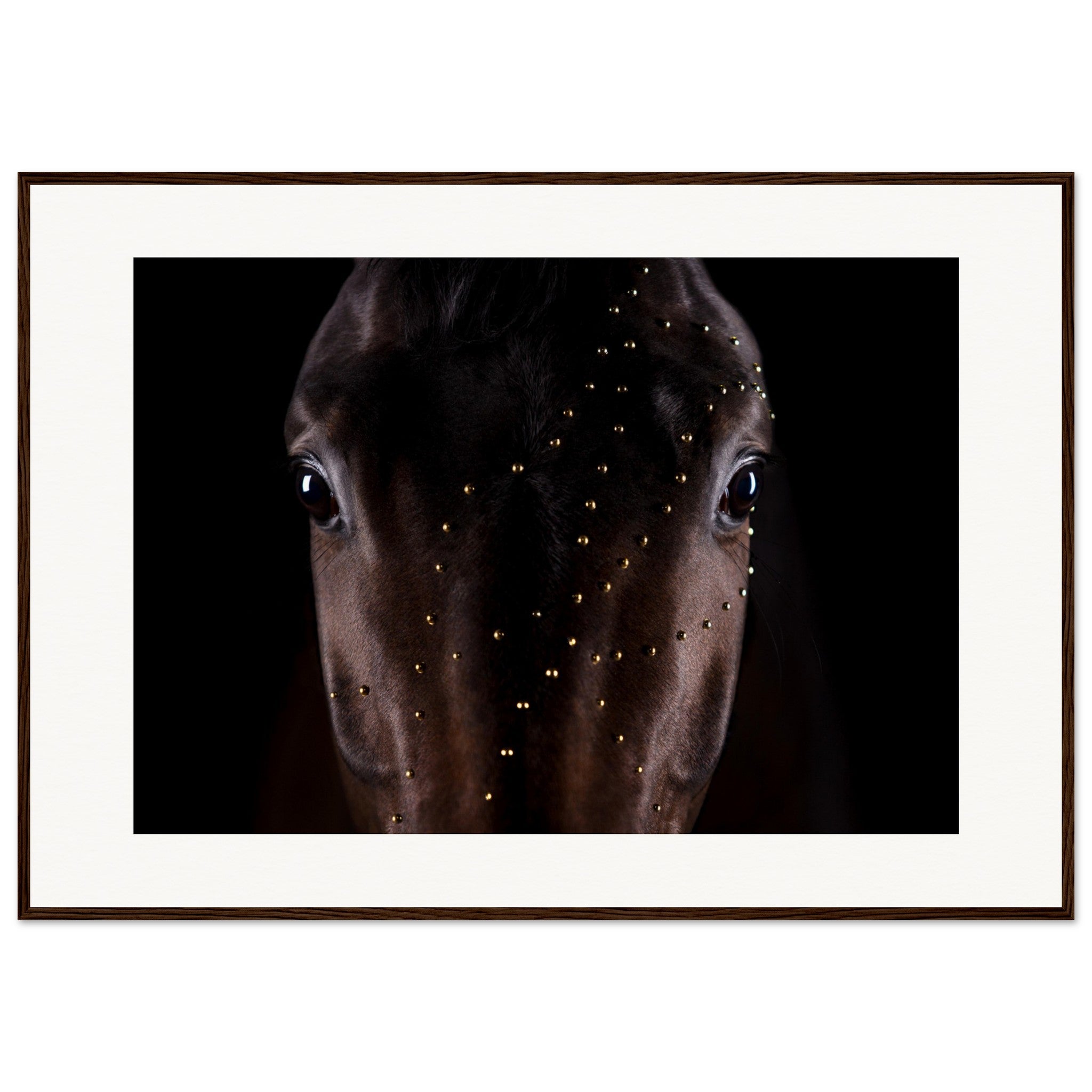 18de7b9e-3575-4048-9624-0049c42d148a