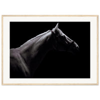 19983508-c32f-48cf-8958-6a740f779406