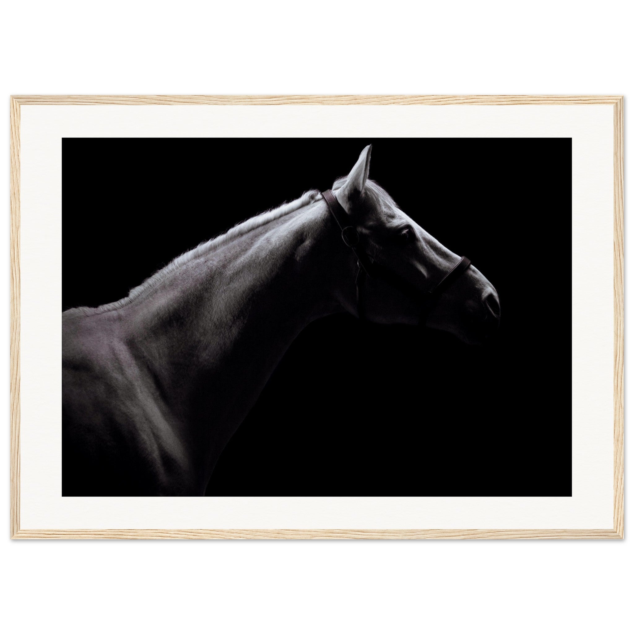 19983508-c32f-48cf-8958-6a740f779406