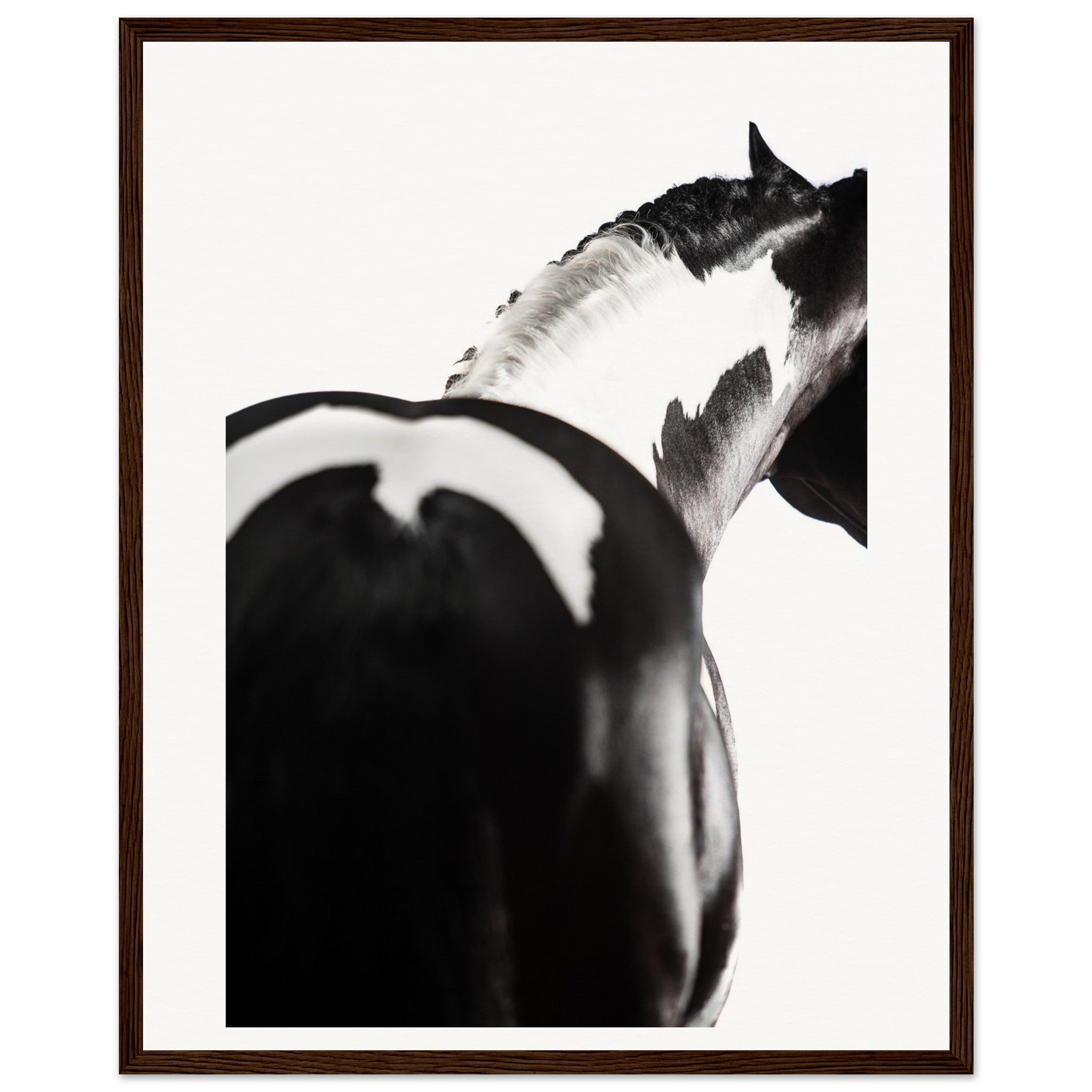 199fa557-92f6-442c-951c-1b03bd328e3b