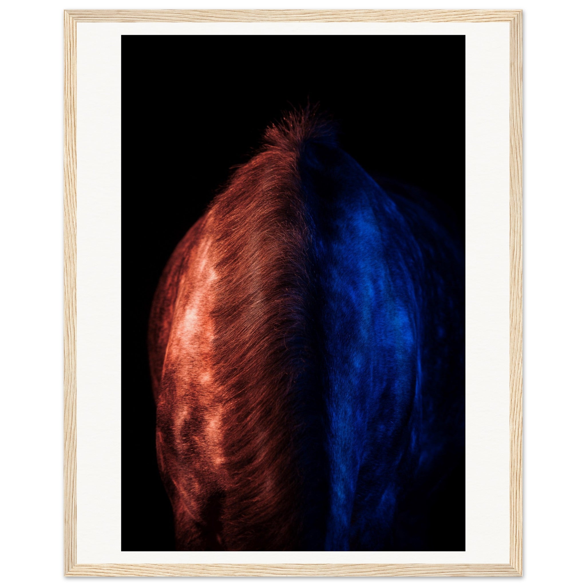 19ca1ae9-5f0e-43bc-ba83-eea7112bc417