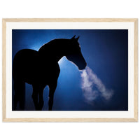 19cc5dc1-b991-48c8-968e-c38db8abe296