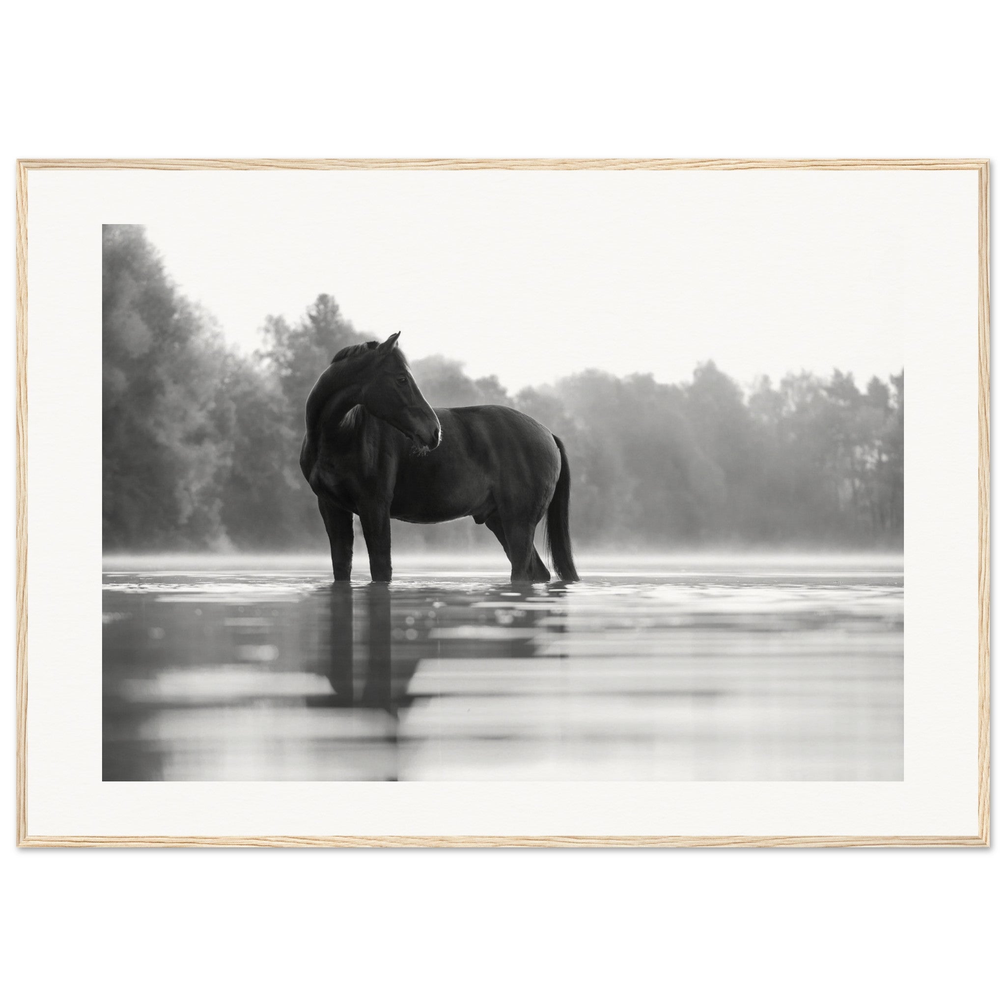 19e9f4e6-f9b5-443b-b0b3-078594293c0f