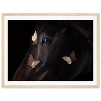 19ea28b2-09ca-4d0b-9122-a4c2089e8e04